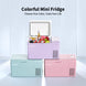 colorful mini fridge